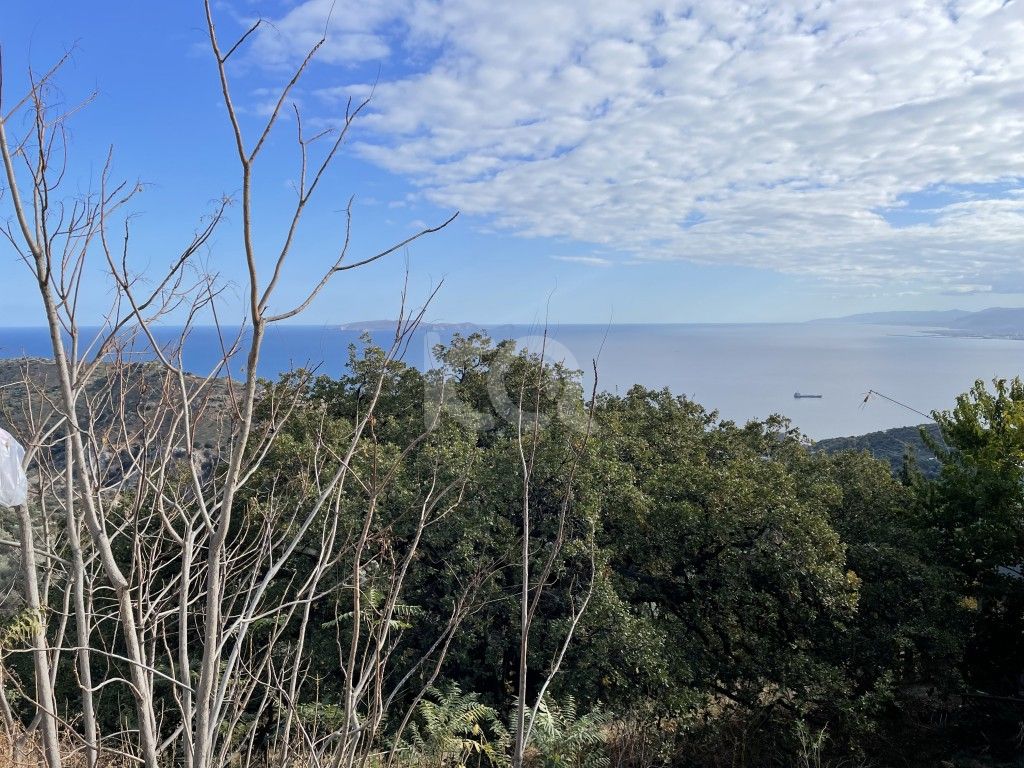 εικόνα αγγελίας