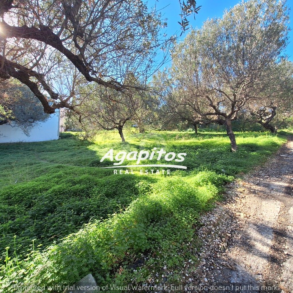 εικόνα αγγελίας