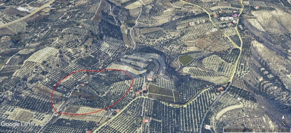 εικόνα αγγελίας