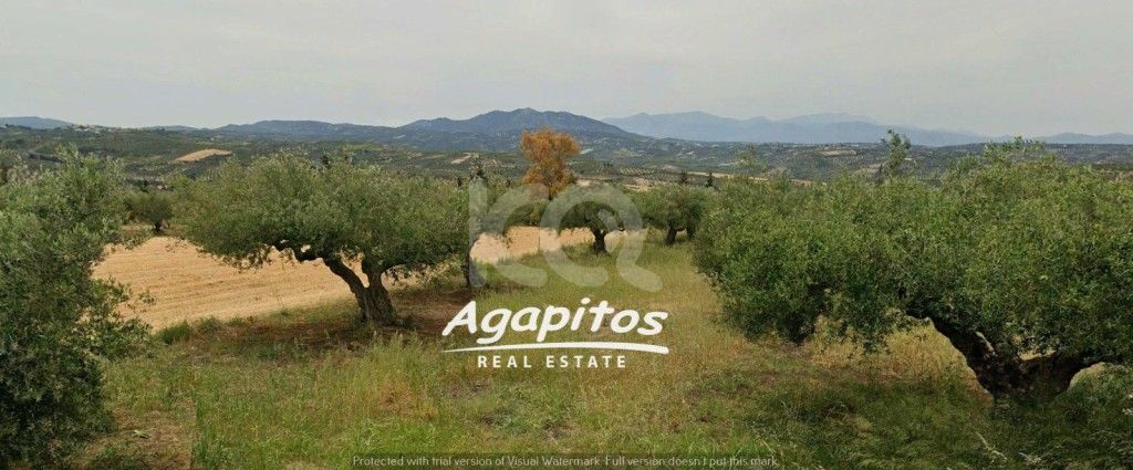 εικόνα αγγελίας