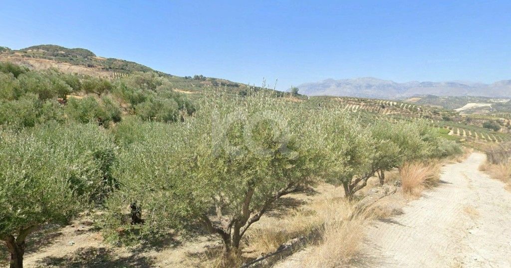 εικόνα αγγελίας