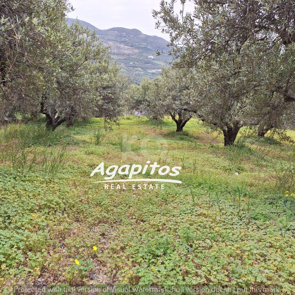 εικόνα αγγελίας