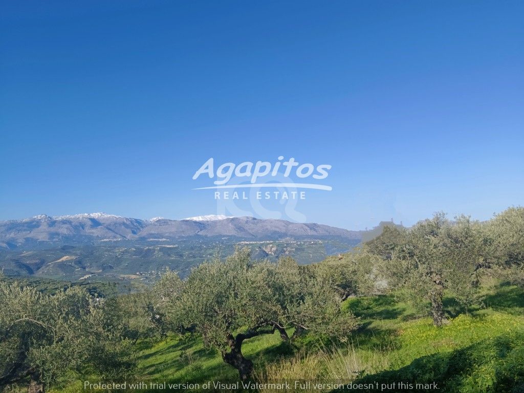 εικόνα αγγελίας