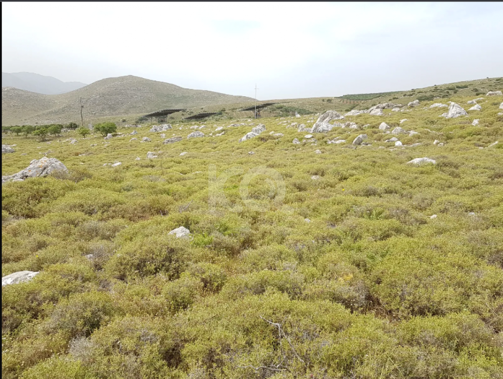 εικόνα αγγελίας