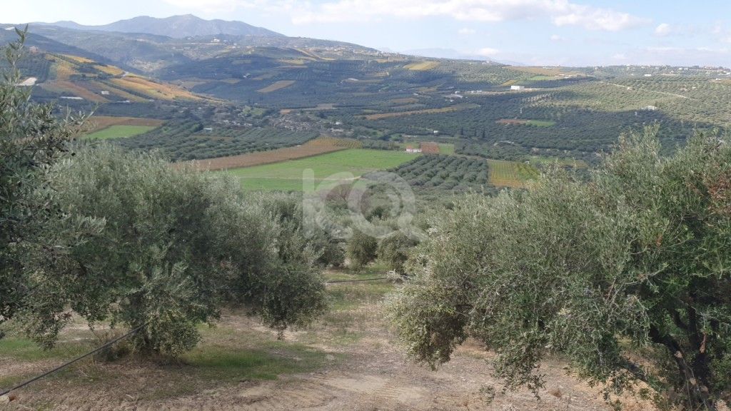 εικόνα αγγελίας