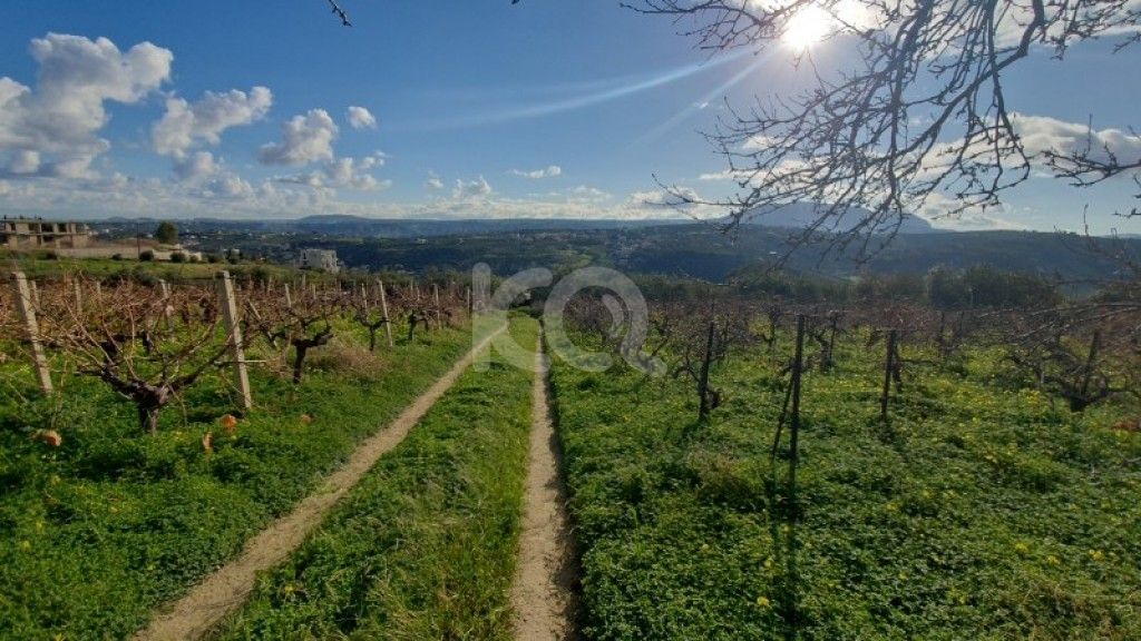 εικόνα αγγελίας