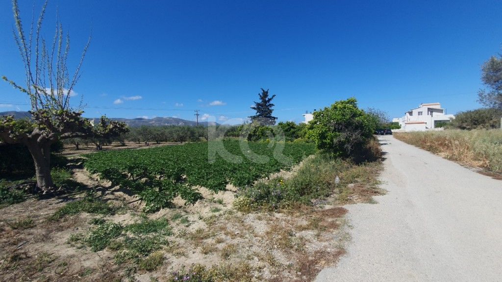 εικόνα αγγελίας