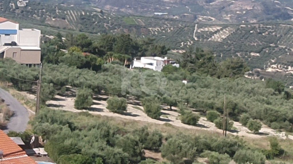 εικόνα αγγελίας