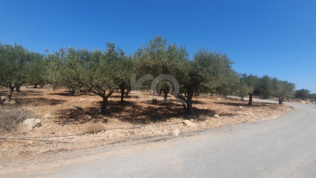 εικόνα αγγελίας