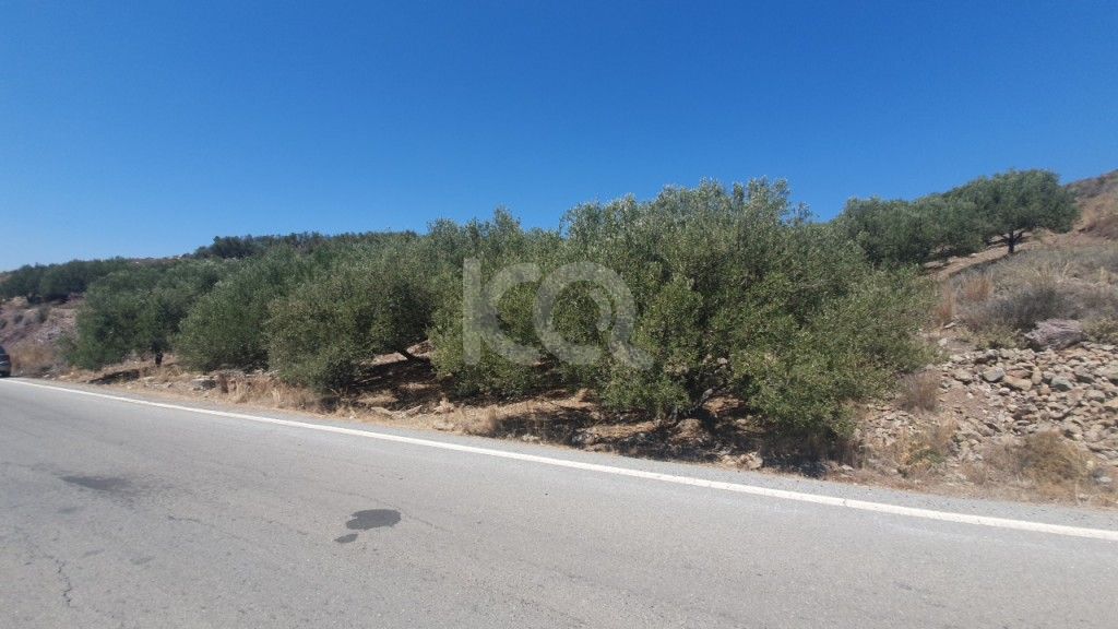 εικόνα αγγελίας