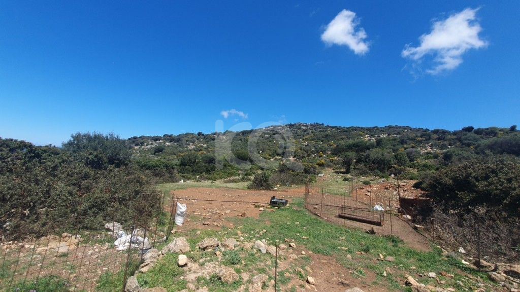 εικόνα αγγελίας