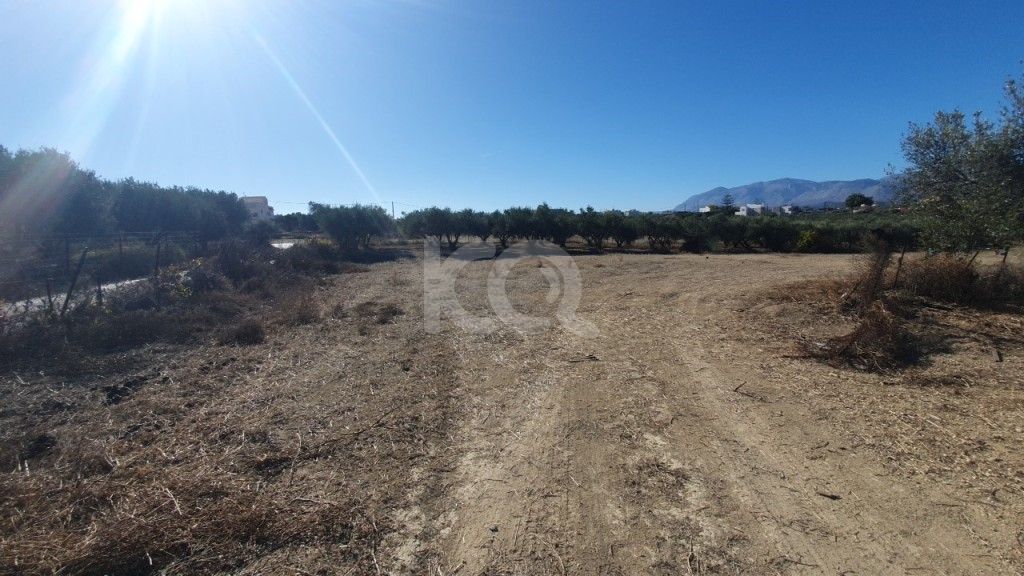 εικόνα αγγελίας