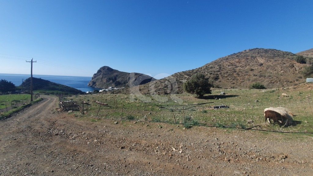 εικόνα αγγελίας