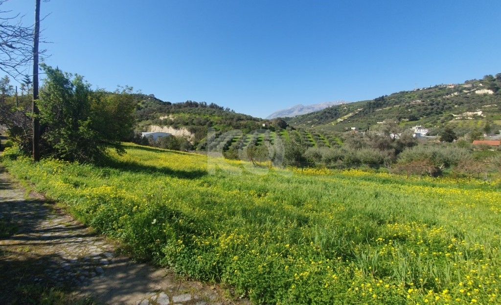 εικόνα αγγελίας