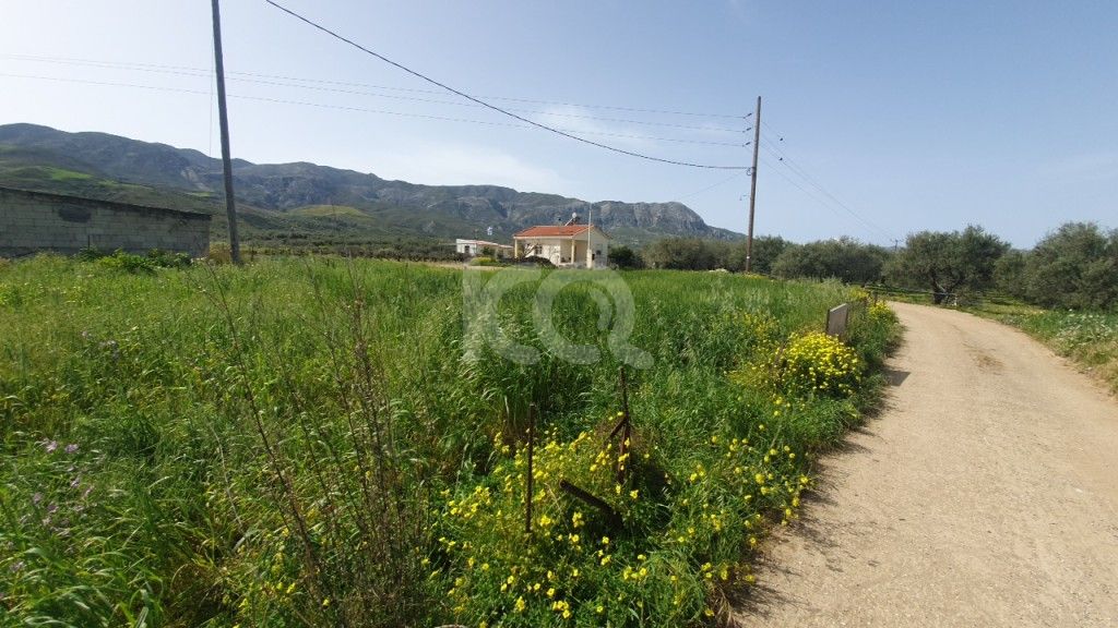 εικόνα αγγελίας