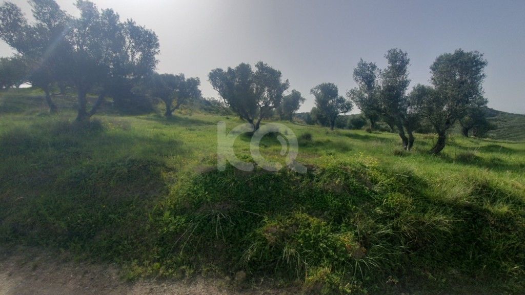 εικόνα αγγελίας