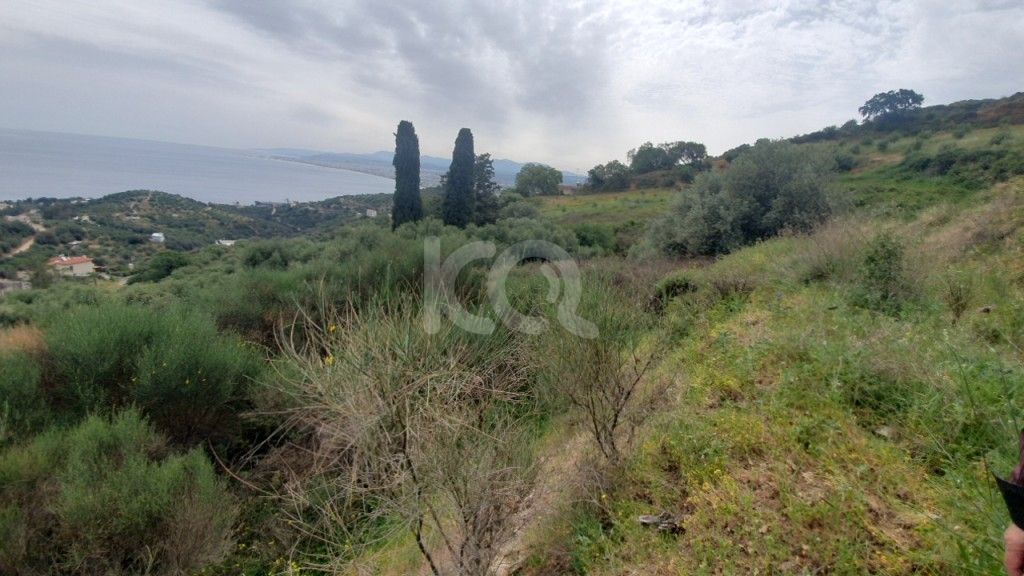 εικόνα αγγελίας