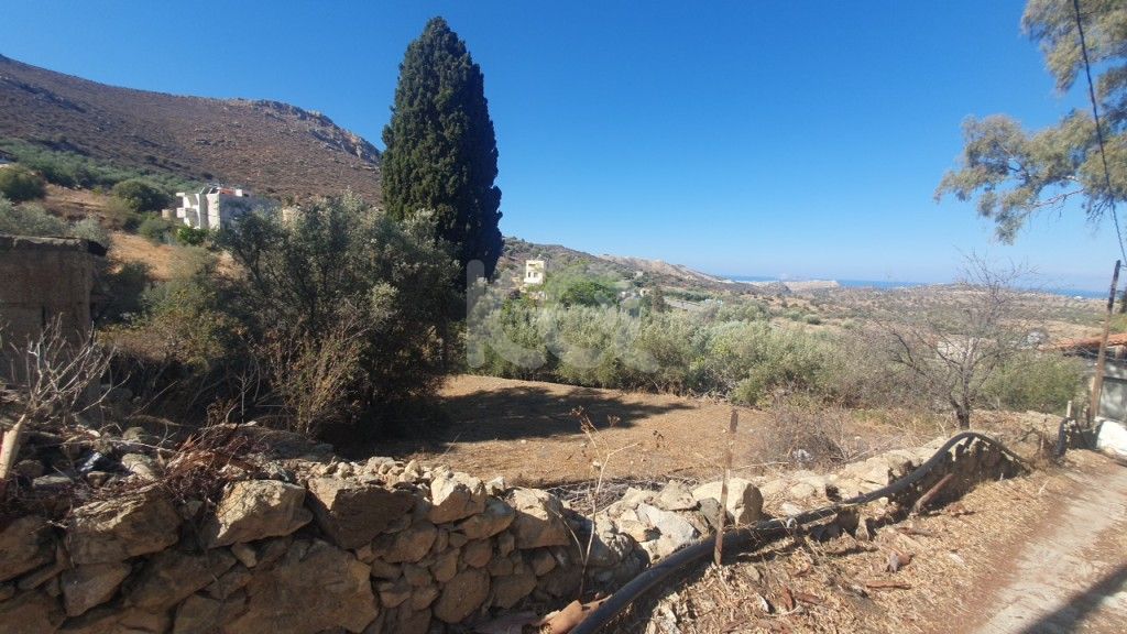 εικόνα αγγελίας