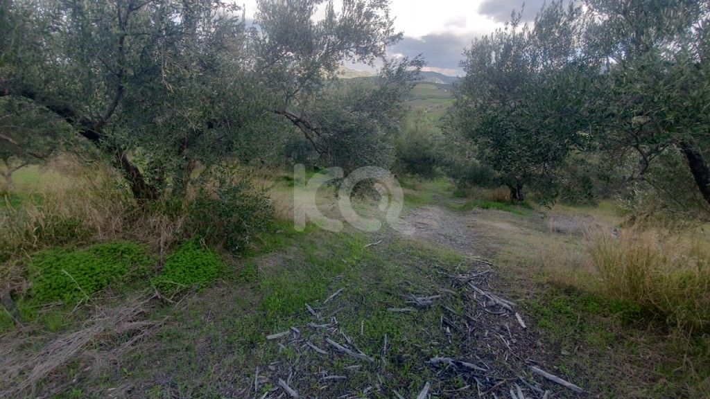 εικόνα αγγελίας