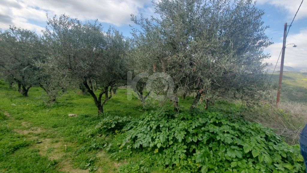 εικόνα αγγελίας