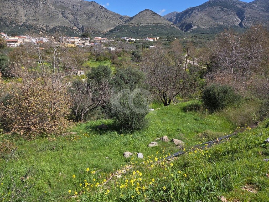 εικόνα αγγελίας