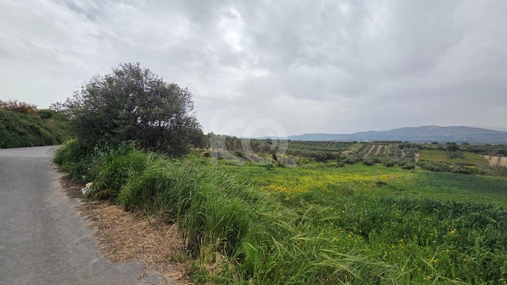 εικόνα αγγελίας