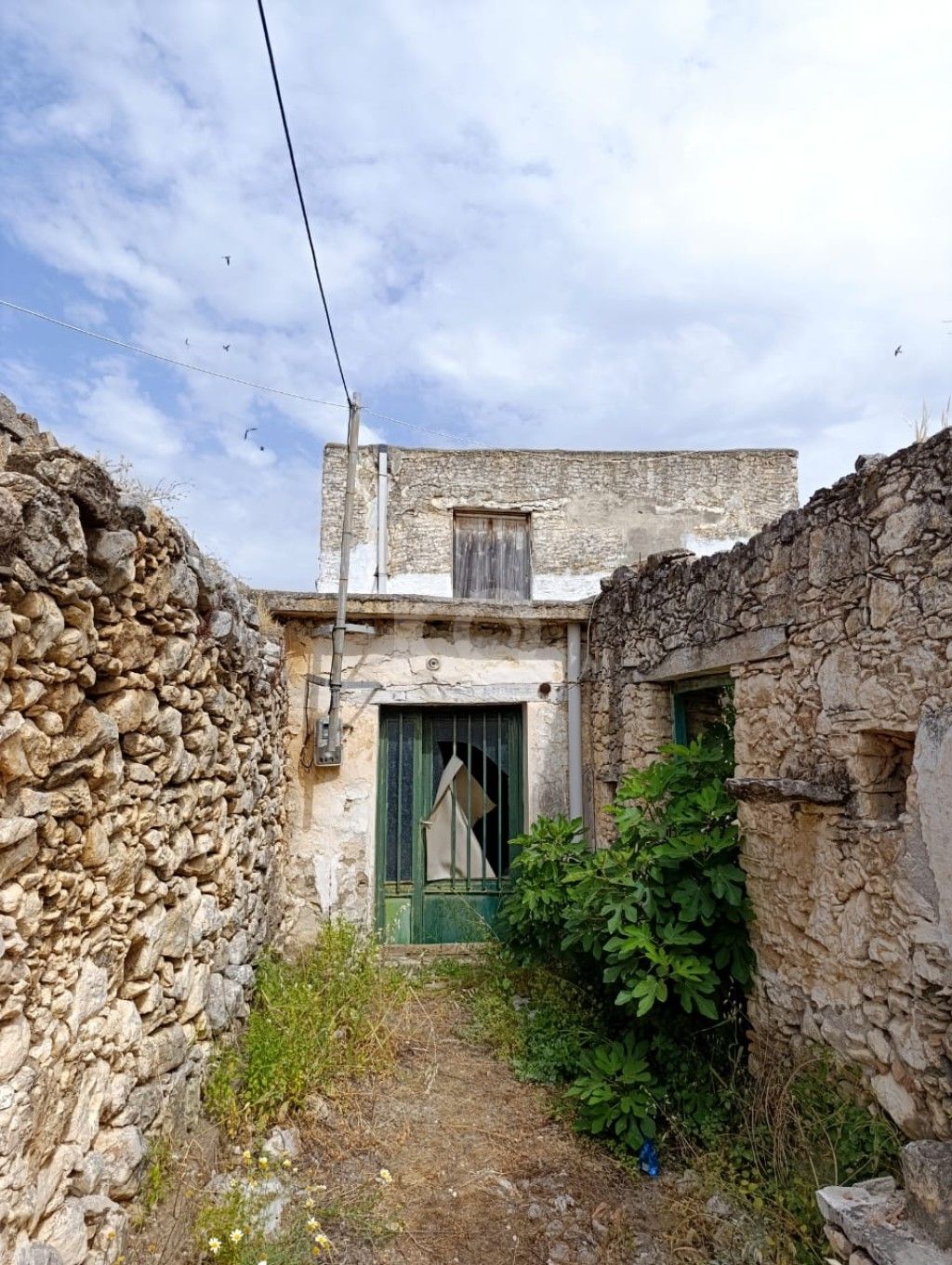 εικόνα αγγελίας