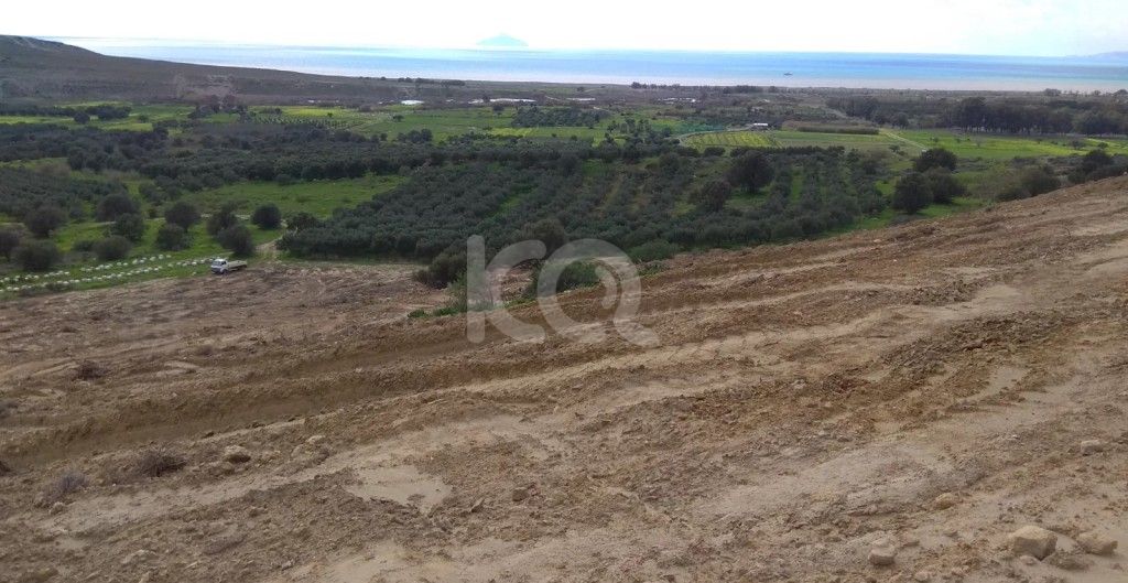 εικόνα αγγελίας