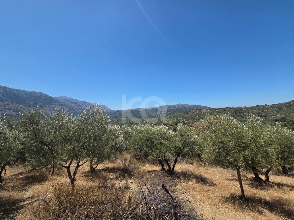 εικόνα αγγελίας