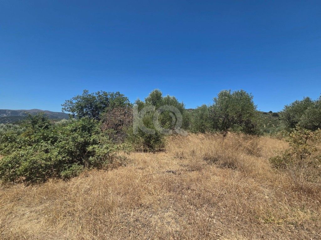 εικόνα αγγελίας