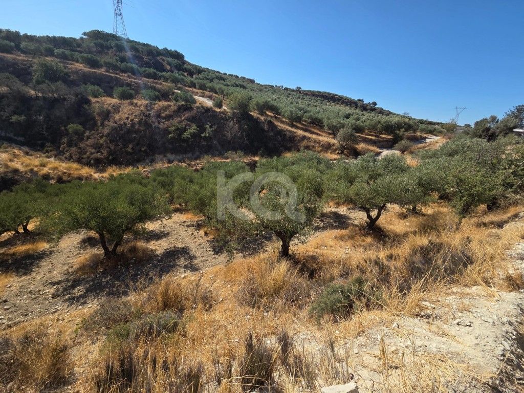 εικόνα αγγελίας