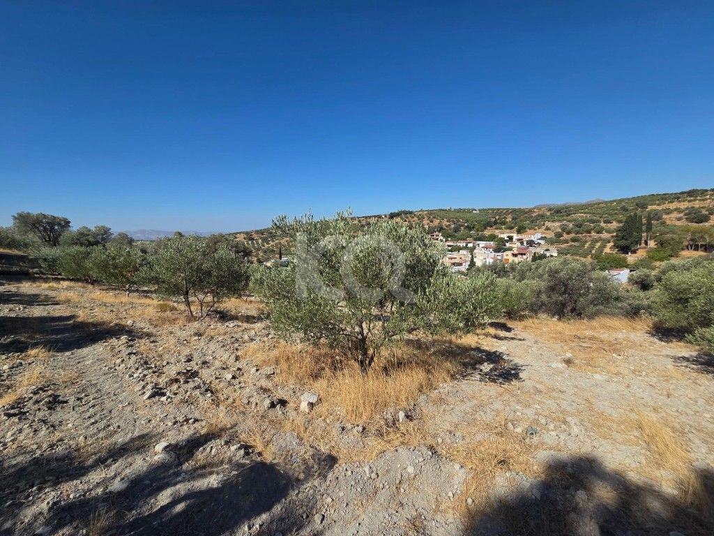 εικόνα αγγελίας