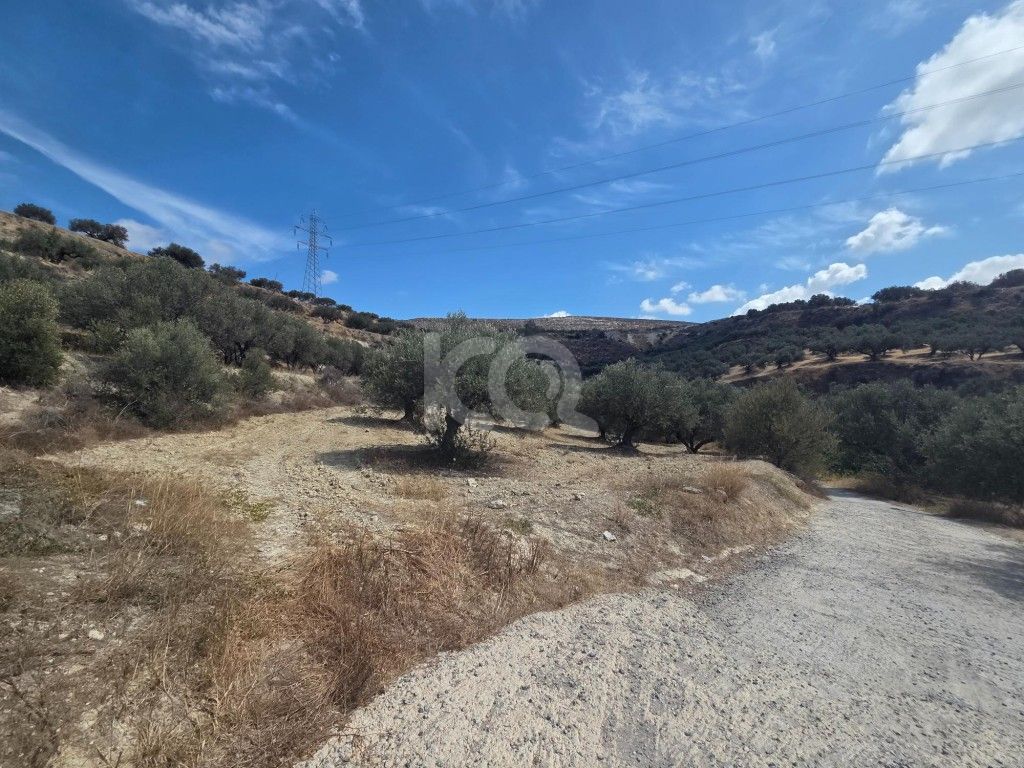 εικόνα αγγελίας