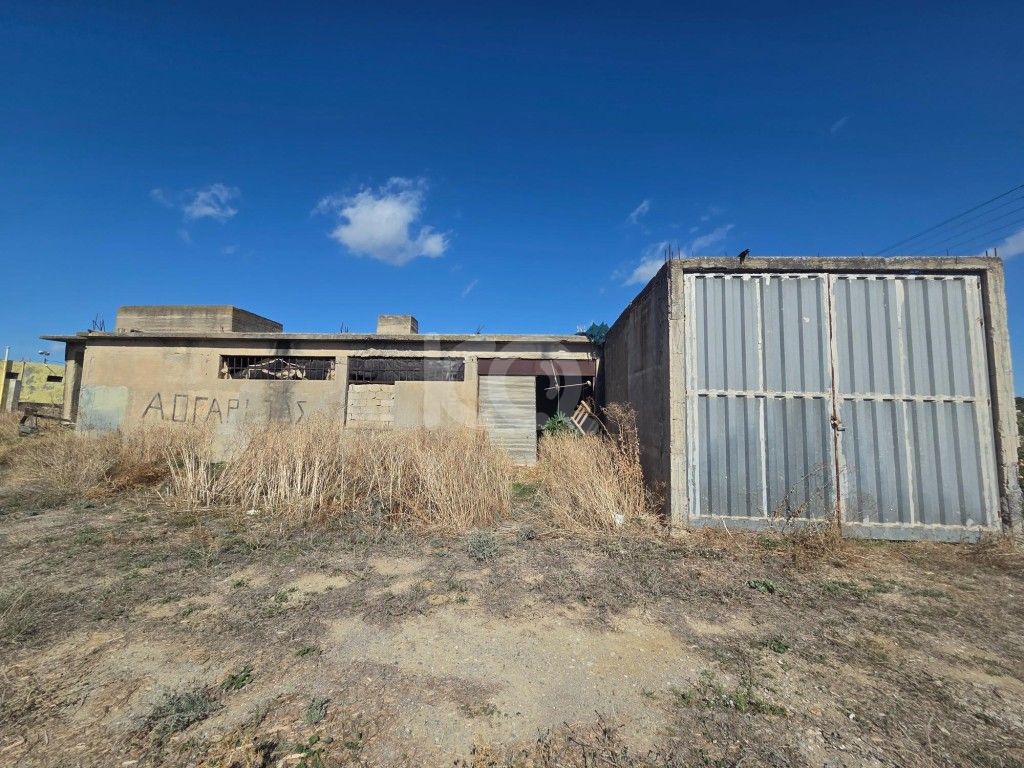 εικόνα αγγελίας