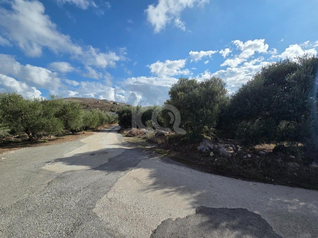 εικόνα αγγελίας