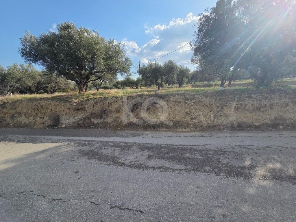 εικόνα αγγελίας