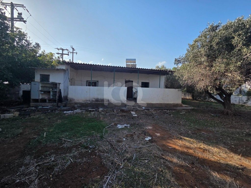 εικόνα αγγελίας