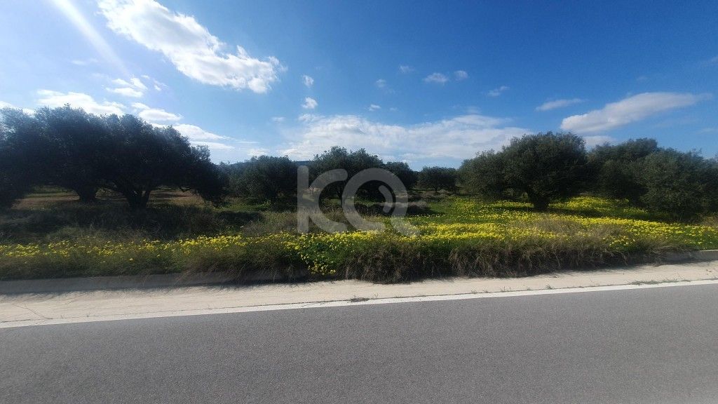 εικόνα αγγελίας