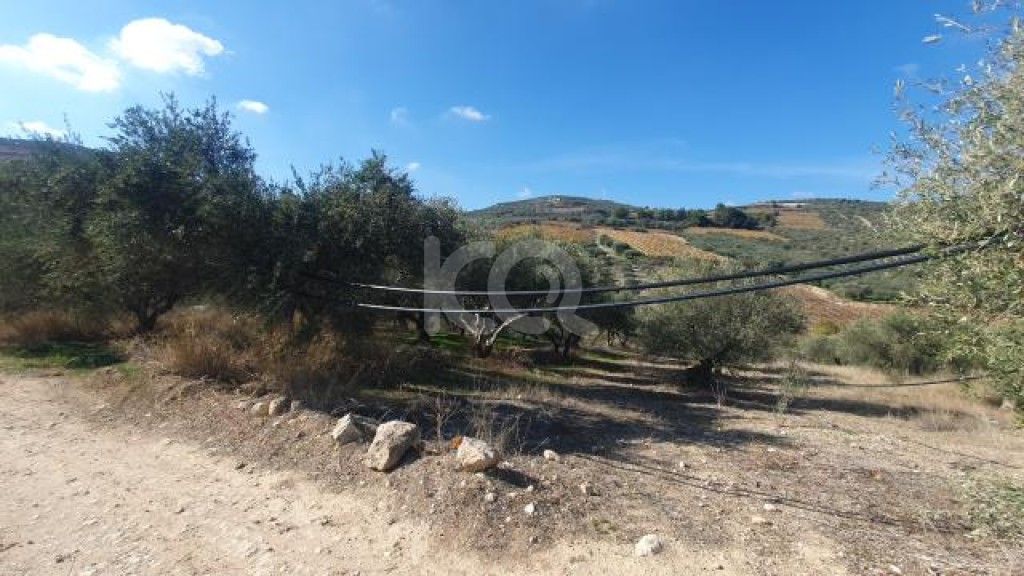 εικόνα αγγελίας