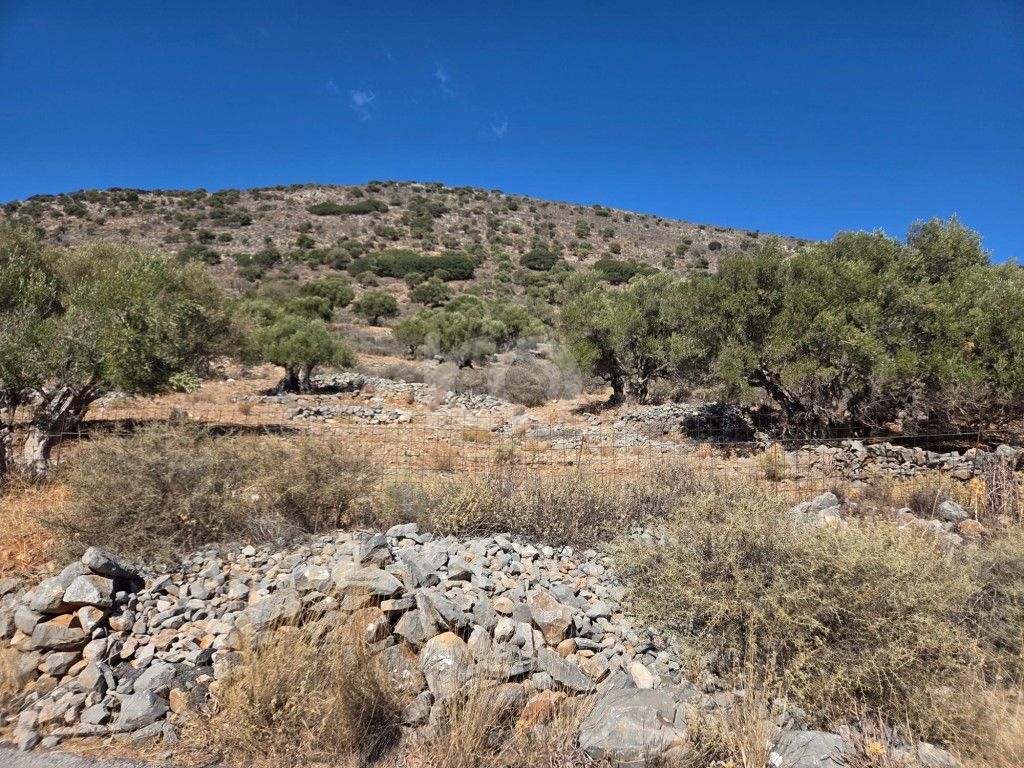 εικόνα αγγελίας