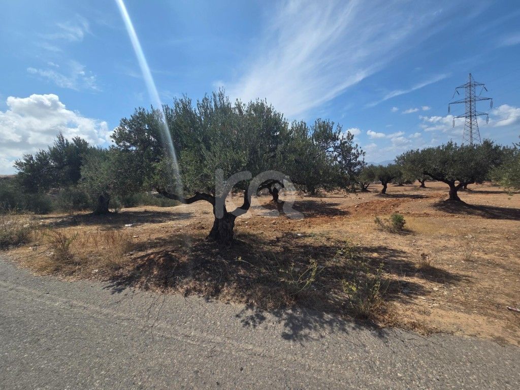 εικόνα αγγελίας