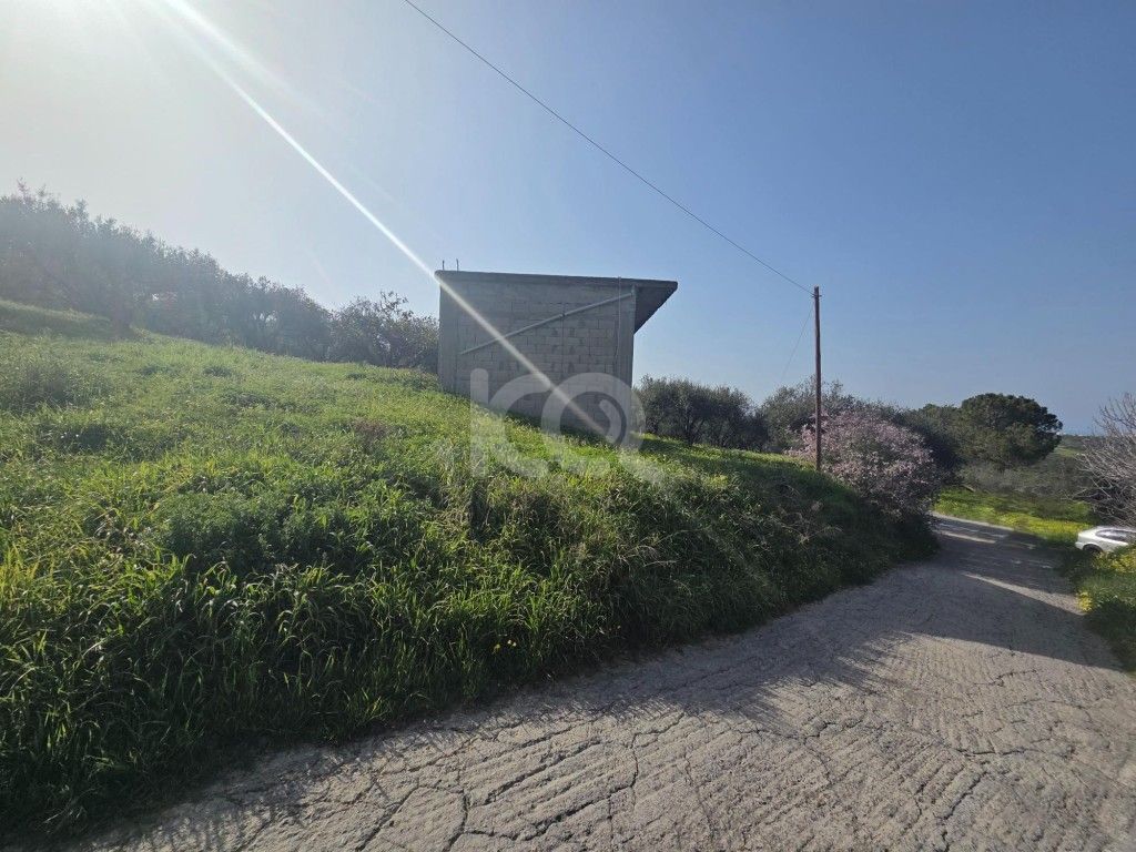 εικόνα αγγελίας