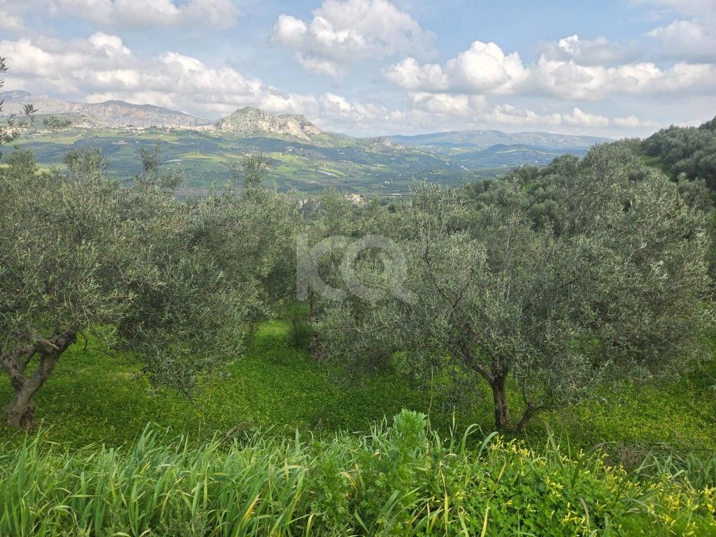 εικόνα αγγελίας