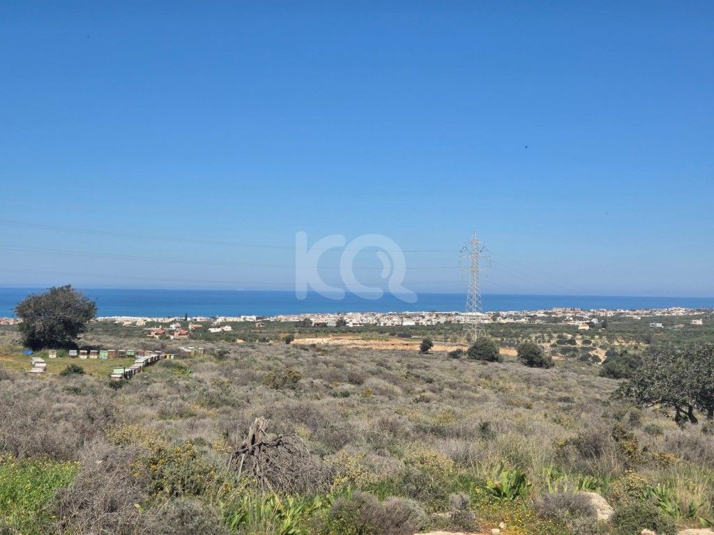 εικόνα αγγελίας