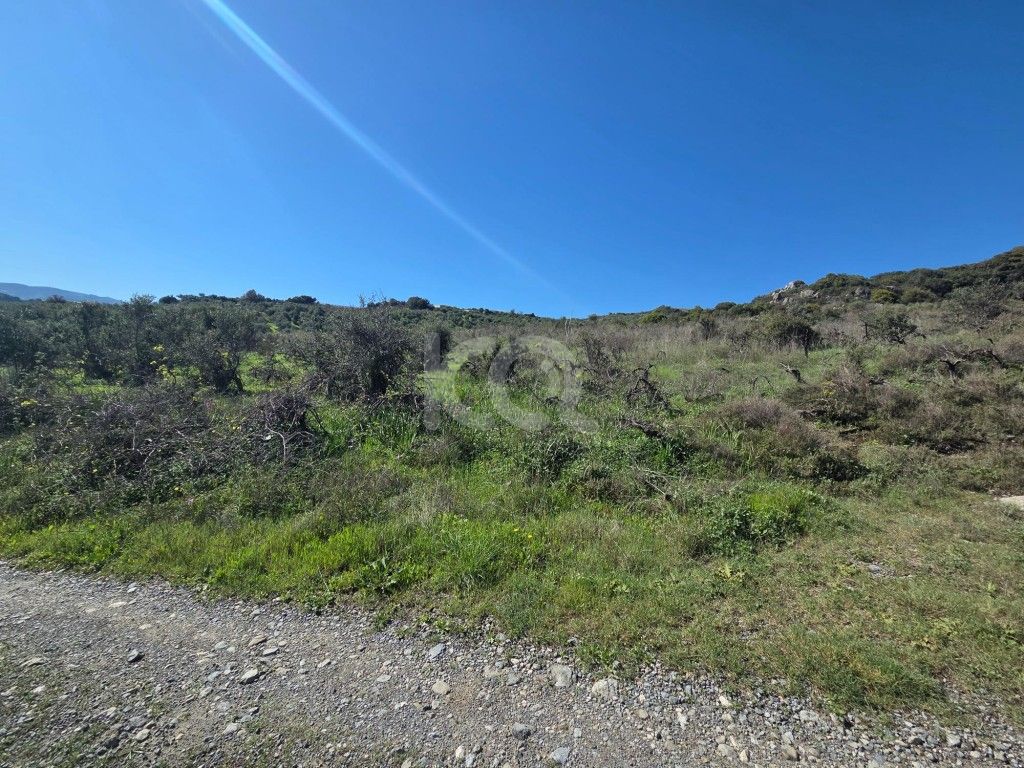 εικόνα αγγελίας