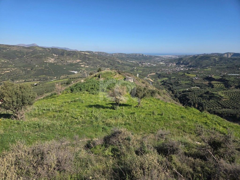 εικόνα αγγελίας