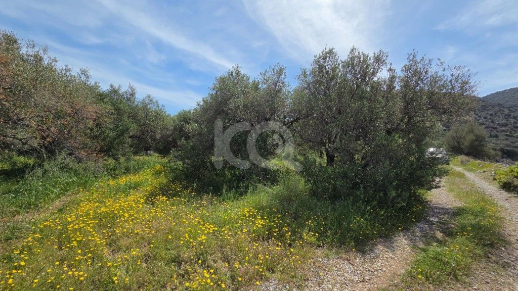 εικόνα αγγελίας