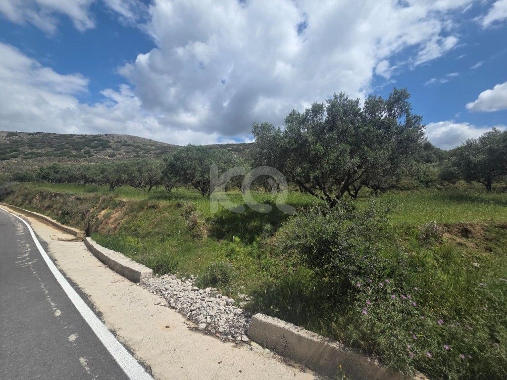 εικόνα αγγελίας
