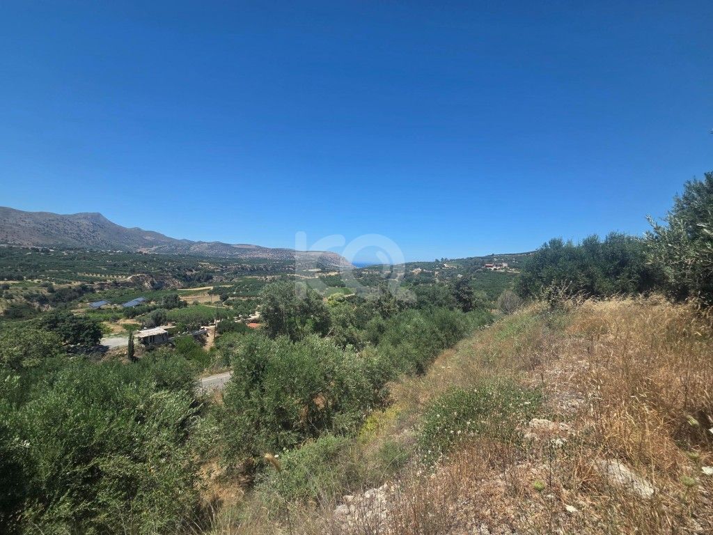 εικόνα αγγελίας