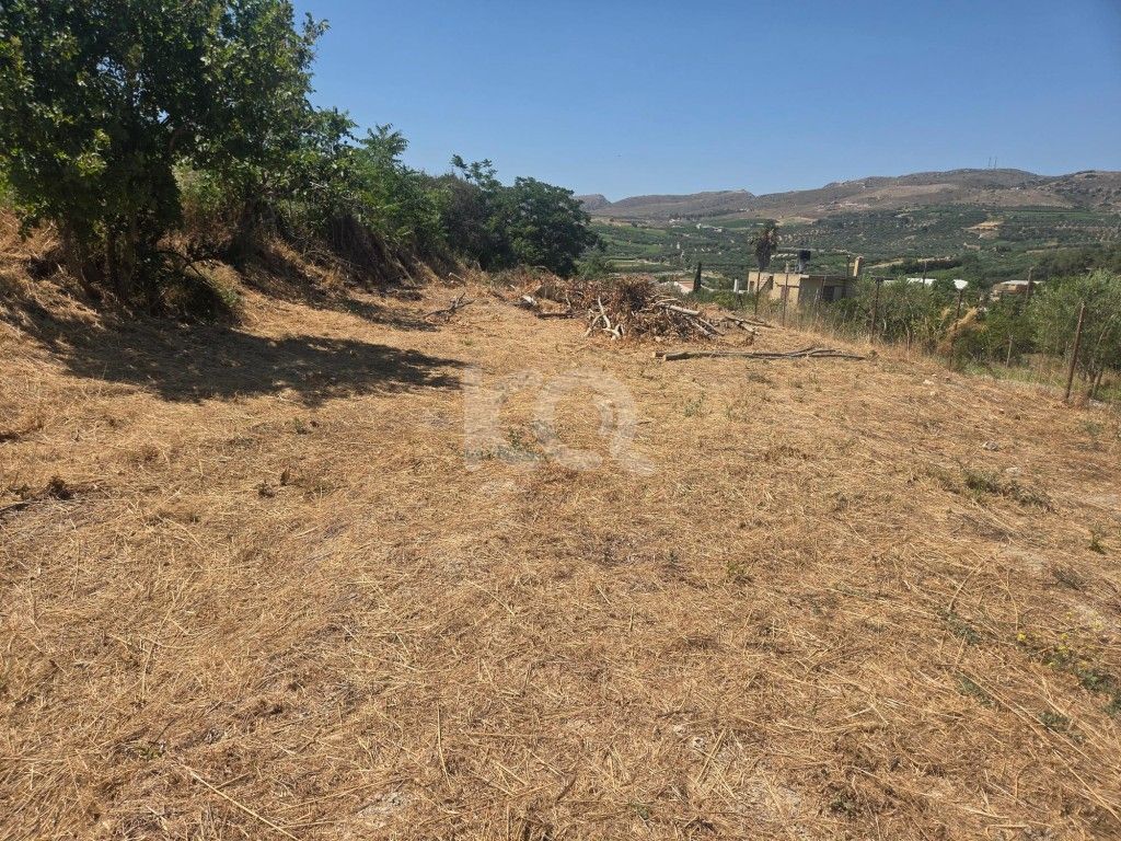 εικόνα αγγελίας